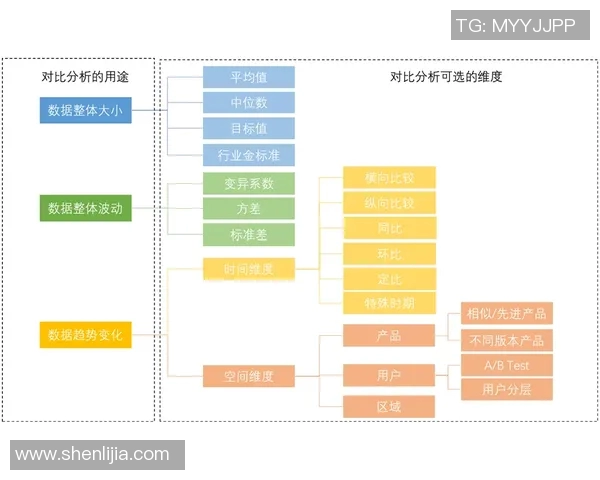 球员评分与数据对比分析