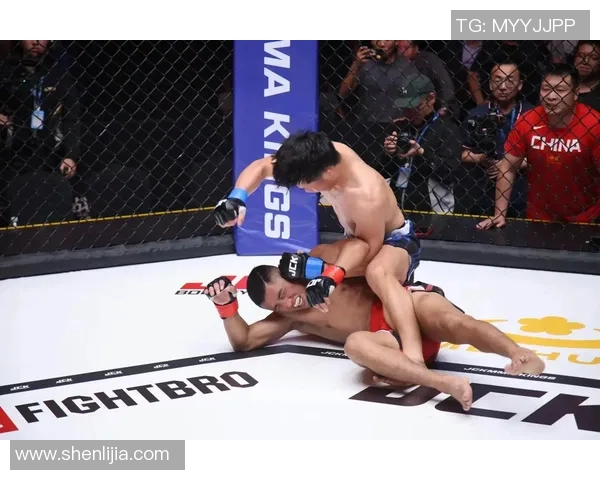 MMA格斗之夜:KO瞬间集锦 MMA格斗之夜:KO瞬间集锦