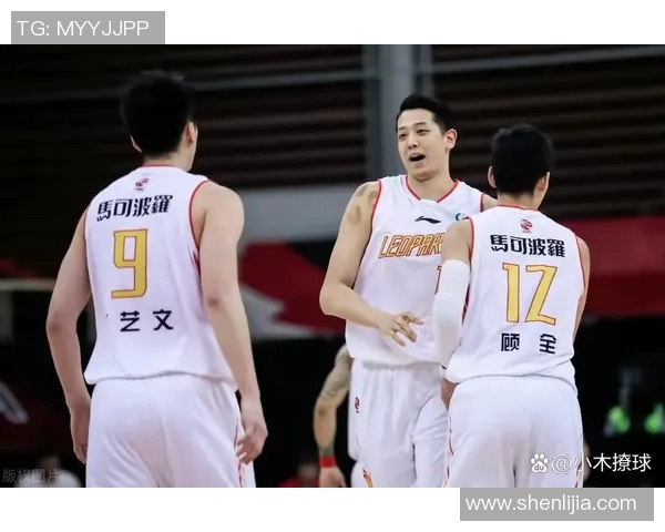 CBA 青训体系发展瓶颈及优化路径探索